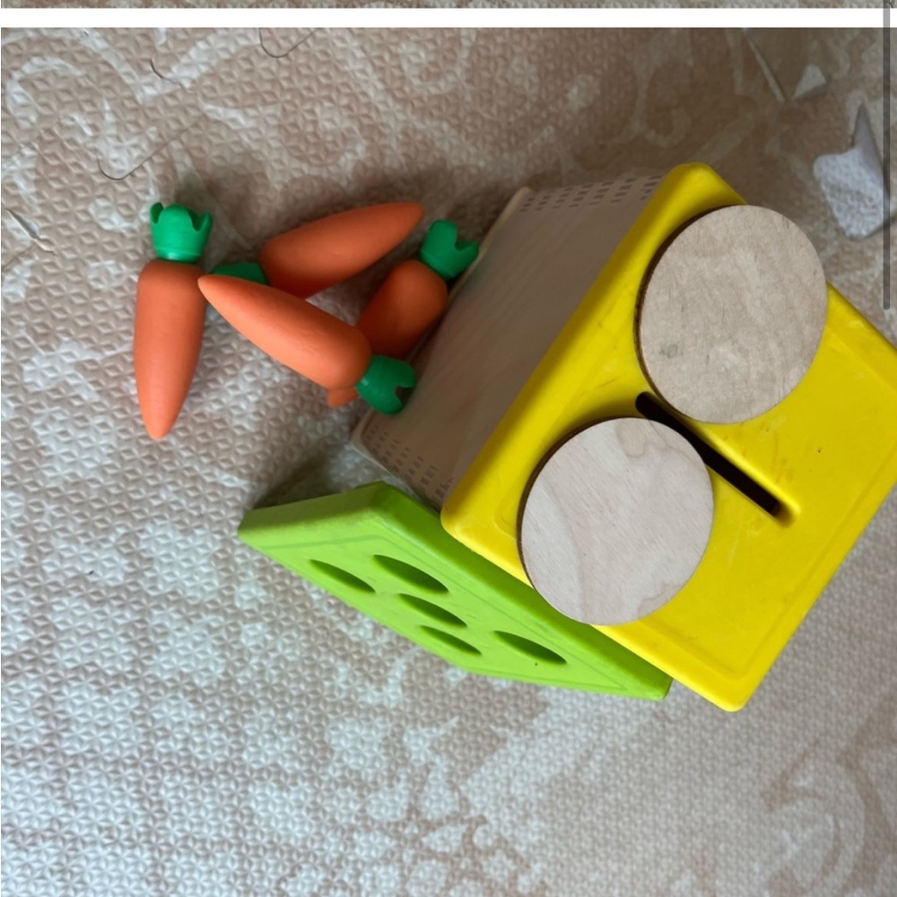 Carrot & Coin Bank Box LovEvery Montessori Toy from the Babbler play kit